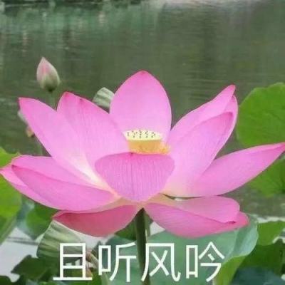 傲视七雄百度版下载