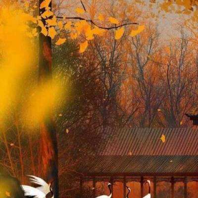 九游三国志霸业手游下载